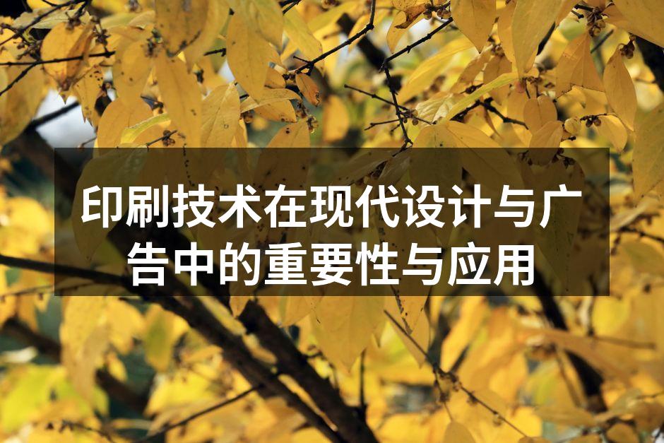 高质量的印刷作品展示